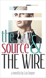 The Source and the Wire by Lia Cooper